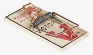 Mouse Trap Png Image Transparent - Do You Set A Mousetrap - Transparent PNG Free Download
