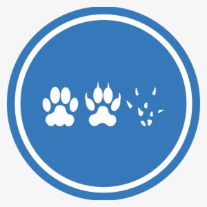 This Free Icons Png Design Of Cat Dog Mouse Unification - Transparent PNG Free Download