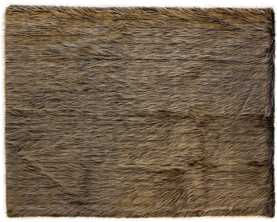 Larger Imagemove Mouse Over The Image To Magnify - Wood - Transparent PNG Free Download