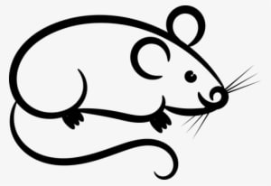 Cute Mouse, Gray, Beard, Pink Ears Png Image And Clipart - Mice Clipart Black And White - Transparent PNG Free Download