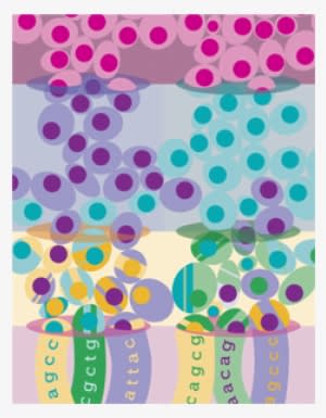 Single Cell Profiling Of The Developing Mouse Brain - Rna-seq - Transparent PNG Free Download