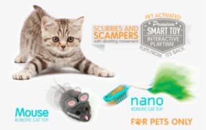 Hexbug Nano And Mouse Cat Toy - Petstages - Green Magic Boomerang Buddy Cat Toy - 1 - Transparent PNG Free Download