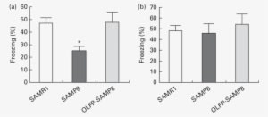 Effects Of Oligomerised Lychee Fruit Derived Polyphenol - Diagram - Transparent PNG Free Download