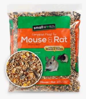 Big Reasons To Give Your Family Pet Small World Mouse - Rat - Transparent PNG Free Download