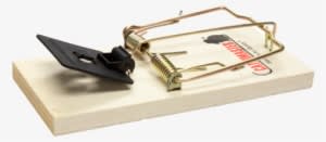 Mouse Traps - Davespestdefense Catchmaster Rat Wooden Snap Trap 610pe - Transparent PNG Free Download