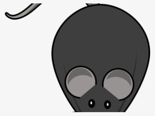 Mouse Animal Cliparts - Rat - Transparent PNG Free Download