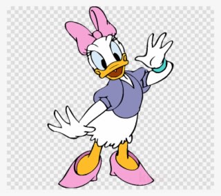 Daisy Duck Cartoon Clipart Donald Duck Daisy Duck Minnie - Transparent PNG Free Download