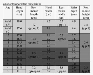 Recommended Mouse Length, Width And Height Based On - Hand Width And Height - Transparent PNG Free Download