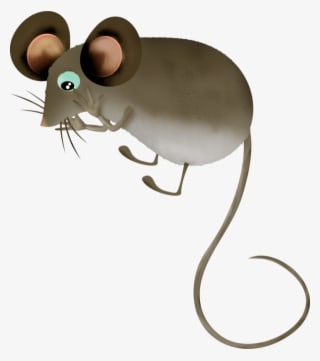 Mouse, Tubes, Png - Rat - Transparent PNG Free Download