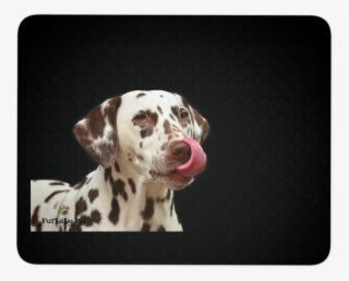 Dalmatian Mouse Pad - Dalmata Cariñoso - Transparent PNG Free Download