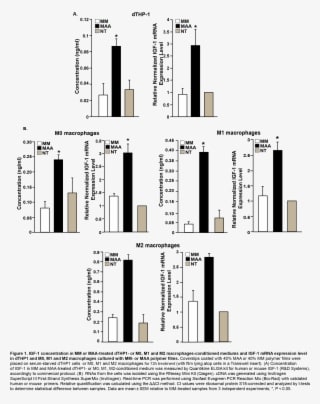 Results And Discussion - Diagram - Transparent PNG Free Download
