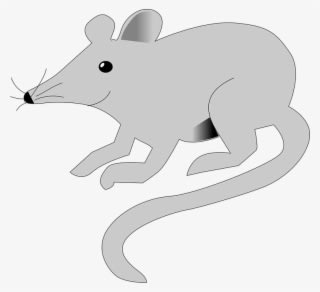 Mice Clipart Gray Mouse - Muroids - Transparent PNG Free Download