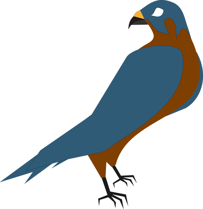 Falcon Clip Art - Falcon Clipart Png - Transparent PNG Free Download