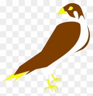 Falcon Clip Art - Peregrine Falcon Simple Clipart - Transparent PNG Free Download