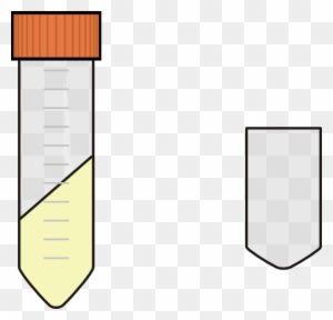 Centrifuging Falcon Tube Yellow Chemistry Science Clip - Tube Falcon 50 Ml - Transparent PNG Free Download