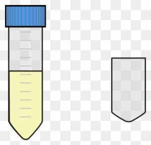 Tube Falcon 50 Ml - Transparent PNG Free Download