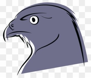 Free Clipart Of A Falcon - Falcon - Transparent PNG Free Download