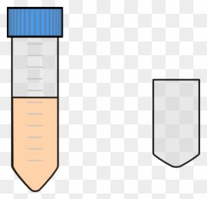 Falcon Tube Dark Clip Art - Falcon Tube Medium - Transparent PNG Free Download