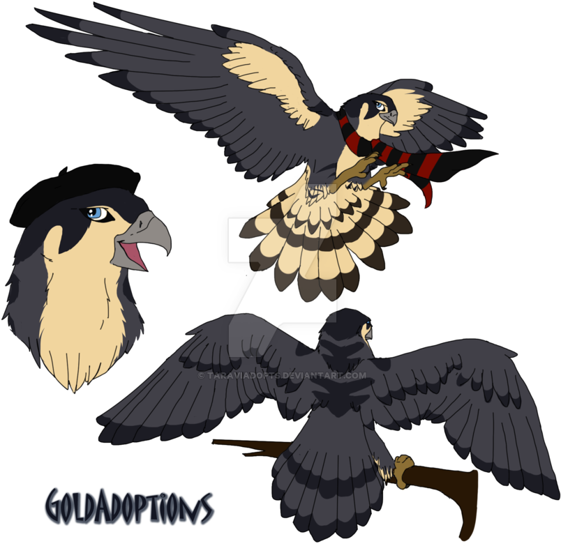 Peregrine Falcon For Kaylin540 By Taraviadopts - Peregrine Falcon Anime - Transparent PNG Free Download