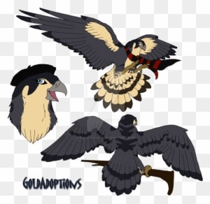 Peregrine Falcon For Kaylin540 By Taraviadopts - Peregrine Falcon Anime - Transparent PNG Free Download