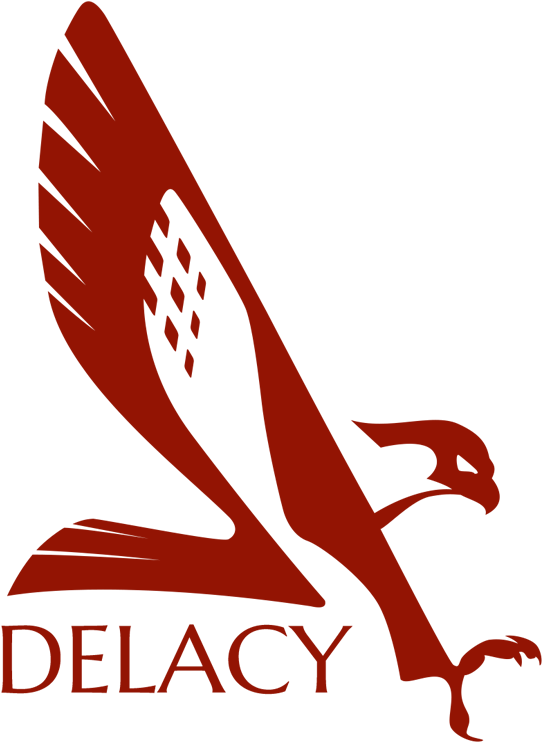 Faulcon Delacy - Elite Dangerous Falcon Delacy - Transparent PNG Free Download