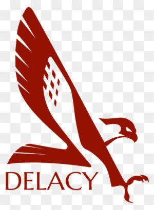 Faulcon Delacy - Elite Dangerous Falcon Delacy - Transparent PNG Free Download