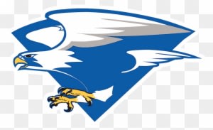 North Forney Falcons - Air Force Falcons Football - Transparent PNG Free Download