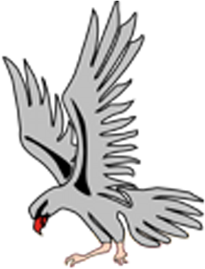Silver Falcons - Silver Falcon - Transparent PNG Free Download