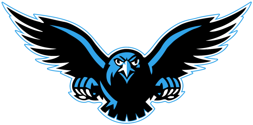 Transparent Background Peoplepng Com - Connellsville Falcons - Transparent PNG Free Download