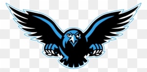 Transparent Background Peoplepng Com - Connellsville Falcons - Transparent PNG Free Download