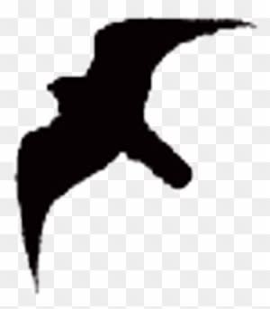 Sandra Feltmate - Peregrine Falcon Silhouette - Transparent PNG Free Download