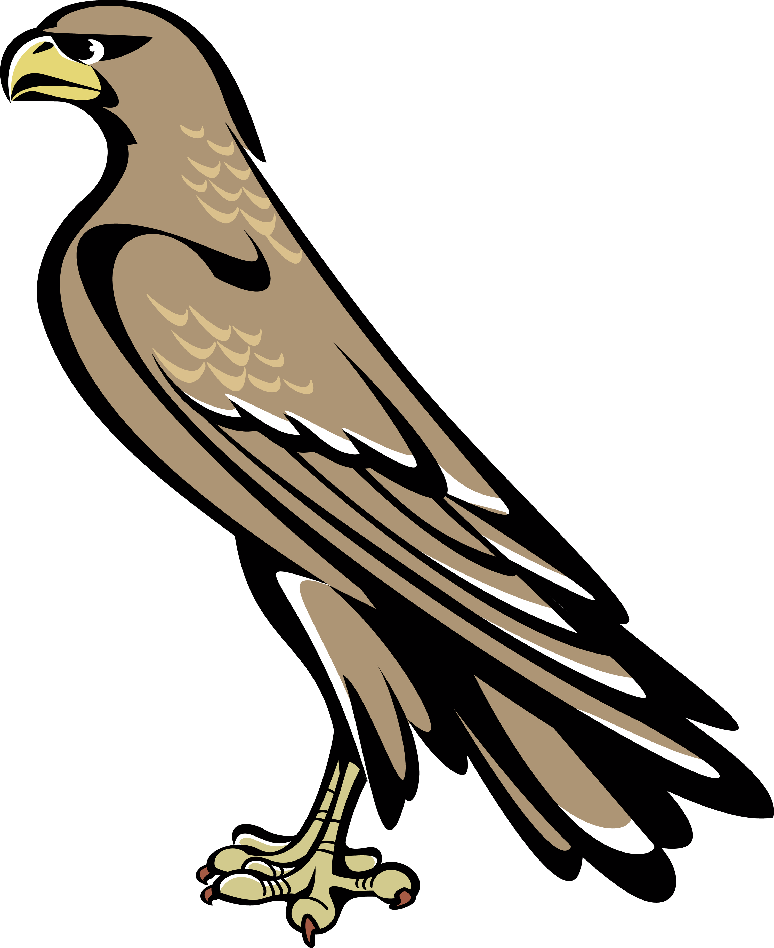 Falcon Clipart Coat Arm - Falcon Symbol Coat Of Arms - Transparent PNG Free Download