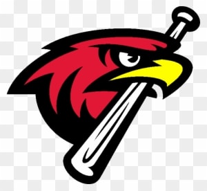 Hawk Clipart Nighthawk - Air Force Falcons Baseball Team - Transparent PNG Free Download