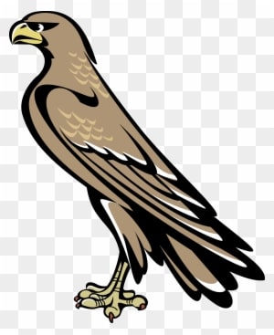 Falcon Clipart Coat Arm - Falcon Symbol Coat Of Arms - Transparent PNG Free Download