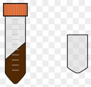 Falcon Tube Muvi Growth Media Clip Art - Falcon Tube - Transparent PNG Free Download