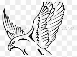 Falcon Clipart Drawing - Falcon Drawing - Transparent PNG Free Download