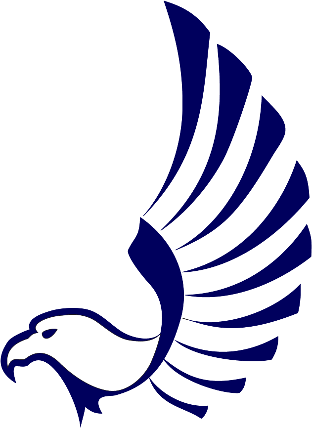 Falcon - Felix Festa Falcon - Transparent PNG Free Download