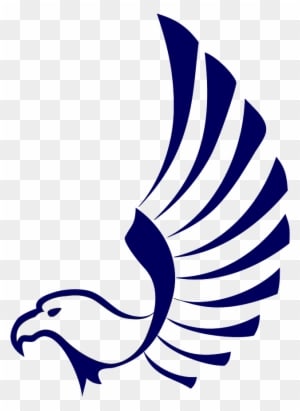 Falcon - Felix Festa Falcon - Transparent PNG Free Download