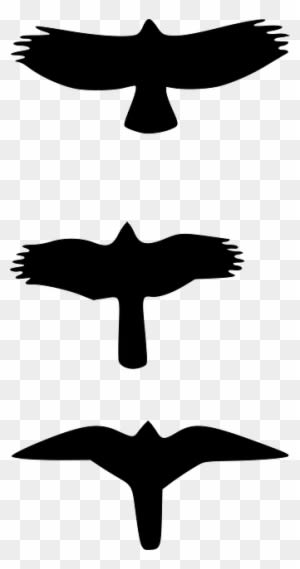 Picture Freeuse Library Free Image On Pixabay Birds - Falcon Vs Hawk Silhouette - Transparent PNG Free Download