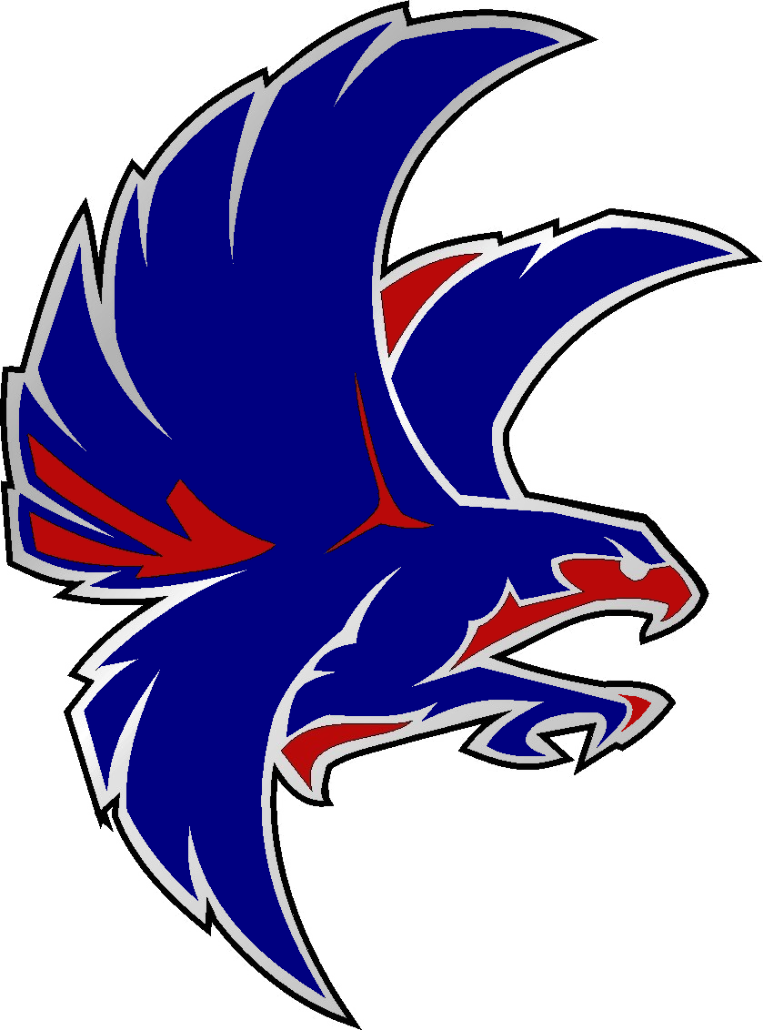 Falcon High School Football Logo Clipart - Nation Ford High School - Transparent PNG Free Download