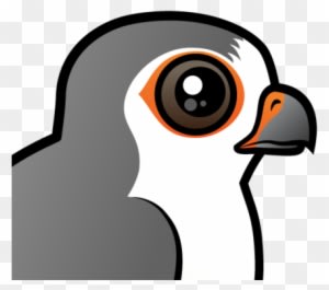 About The African Pygmy Falcon - Common Kestrel - Transparent PNG Free Download