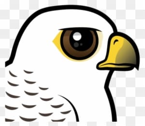 Also Known As - The Birds - Transparent PNG Free Download