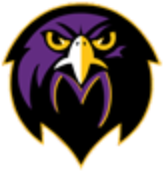 The Falcon Flyer Email Newsletter - River Valley High School - Transparent PNG Free Download