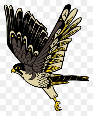 Falcon - Golden Eagle - Transparent PNG Free Download
