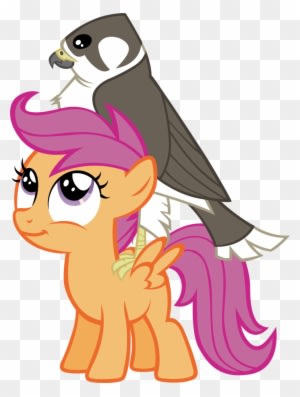 Astringe, Bird, Falcon, Female, Filly, Pegasus, Peregrine - Photography - Transparent PNG Free Download