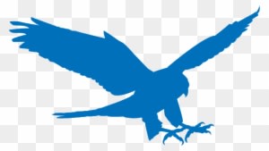 Picture Of The Cosmic Falcon Logo - Hawk - Transparent PNG Free Download