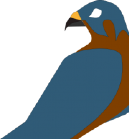 Falcon Clipart Perigan - Parrot - Transparent PNG Free Download