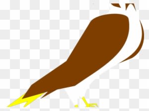 Falcon Clipart Clip Art - Clip Art - Transparent PNG Free Download