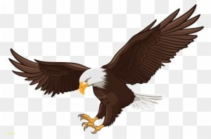 Svg Download Falcon Clipart Eagle Landing - Transparent Background Eagle Clipart - Transparent PNG Free Download