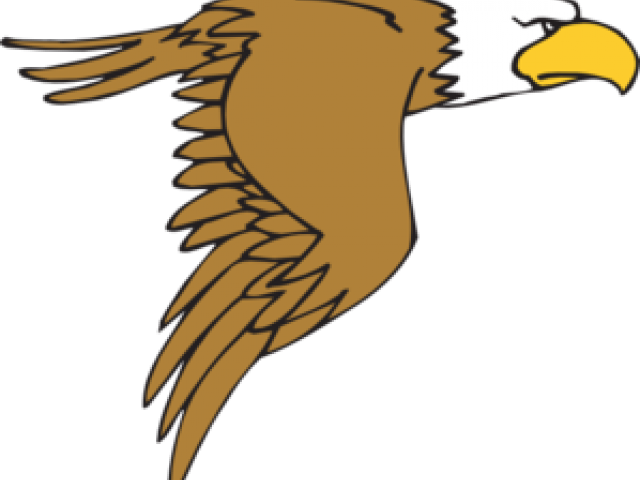 Peregrine Falcon Clipart - Eagle Clip Art - Transparent PNG Free Download